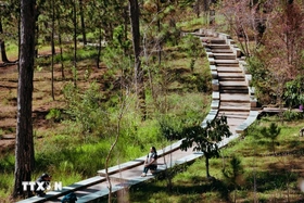 Lâm Đồng: Thăm giảng đường “đẹp không góc chết” ngay lòng Đà Lạt