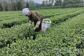 Sắc Xuân sản vật OCOP Đất Tổ