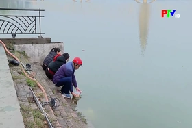 Nhộn nhịp thả cá chép tiễn ông Công, ông Táo