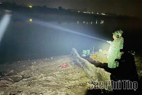 High-Speed Construction of Pontoon Bridge Across Lo River