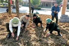 Tết trồng cây - Gieo mầm xanh, dựng xây quê hương