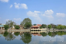 Đất làng Phùng Nguyên