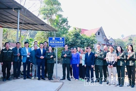 Xuân trên những công trình thanh niên