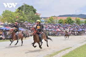 Đến Bắc Hà nghe chuyện vó ngựa trên cao nguyên trắng