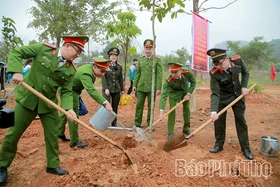 Ươm mầm cho mạch sống sinh sôi