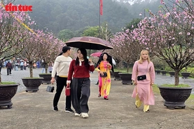 Thời tiết ngày 20/2 (mùng 4 Tết): Bắc Bộ đêm và sáng rét,&nbsp;Nam Bộ nắng nóng cục bộ