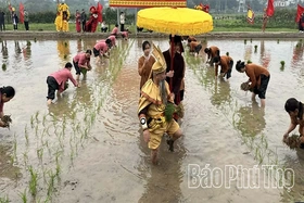 Preserving the Soul of the Tich Dien Festival in the Ancestral Land