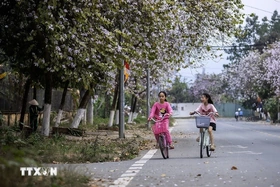 Ngày 1/3, nhiệt độ tại Bắc Bộ có nơi trên 33 độ C, nhiều khu vực có mưa dông