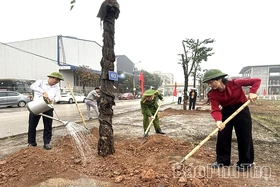 Xã Tề Lỗ phát động Tết trồng cây 