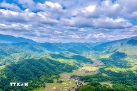 Du lịch rừng - biển hấp dẫn du khách những ngày đầu Xuân