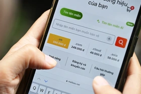 Việt Nam lần đầu đấu giá tên miền '.vn'