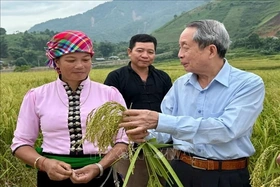 Ông Giáo sư... “đẻ” ra cỏ!