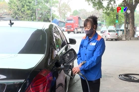 Phu Tho News on March 8, 2026