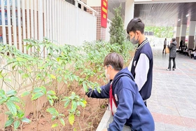 Vì sao con ngoan ở nhà ra đời hay vấp ngã?