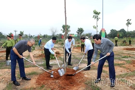 Phú Thọ phát động “Tết trồng cây đời đời nhớ ơn Bác Hồ” Xuân Bính Ngọ 2026
