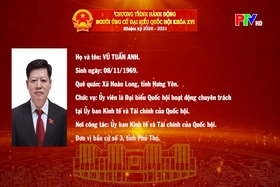 Chương trình hành động ứng cử Đại biểu Quốc hội khóa XVI của đồng chí Vũ Tuấn Anh