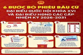 6 bước bỏ phiếu bầu cử đại biểu Quốc hội khóa XVI và đại biểu HĐND các cấp nhiệm kỳ 2026-2031