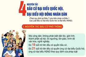 4 nguyên tắc bầu cử đại biểu Quốc hội và đại biểu Hội đồng nhân dân