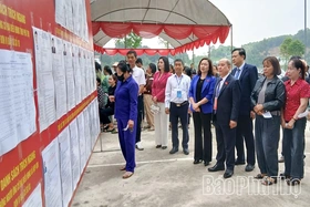 Phó Bí thư Tỉnh ủy, Chủ tịch HĐND tỉnh Bùi Đức Hinh kiểm tra công tác bầu cử tại xã Hợp Kim