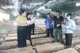 Tái cơ cấu nông nghiệp để tăng giá trị nông sản