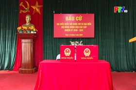 Các địa phương sẵn sàng cho ngày hội non sông