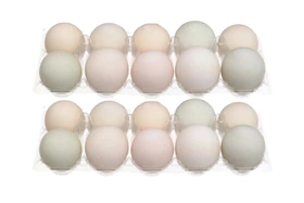 Giá cả thị trường ngày 13/3/2026