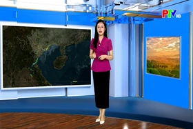 Dự báo thời tiết tỉnh Phú Thọ ngày 20/3/2026