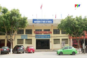 Hoạt động vận tải trong bối cảnh giá xăng dầu tăng