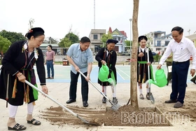 Đạo Trù phát động “Tết trồng cây đời đời nhớ ơn Bác Hồ” và “Tết trồng sâm” Xuân Bính Ngọ 2026