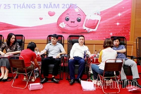 Thu được 334 đơn vị máu tại Ngày hội hiến máu “Giọt hồng thanh niên UBND tỉnh”