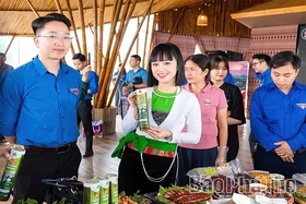 Đánh thức tinh thần khởi nghiệp từ khát vọng của tuổi trẻ Đất Tổ