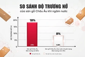 Sàn gỗ Đức có tốt không? Chọn sao cho đúng