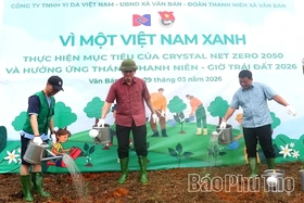 Vân Bán trồng thêm 50.000 cây xanh trên đồi trọc
