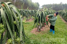 Xây dựng nông thôn mới: Thách thức và cơ hội