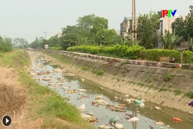 Rác thải bủa vây kênh tả ngạn Tam Hồng - Nguyệt Đức