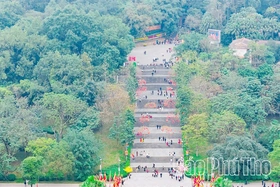 Chuyện giữ “báu vật xanh” đất cội nguồn