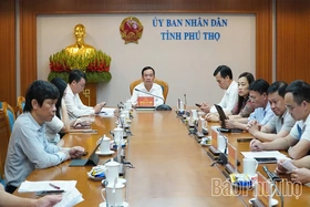 Hội nghị trực tuyến Ban Chỉ đạo quốc gia về hội nhập quốc tế