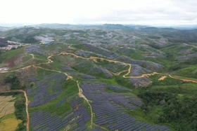 Trang trại lắp 2,23 triệu tấm pin mặt trời hoạt động tại Lào