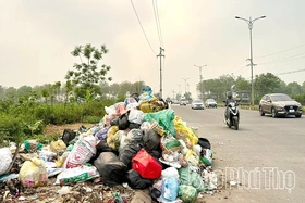 Bất chấp biển cấm, rác vẫn tràn lan tại Km11, đường tỉnh 310