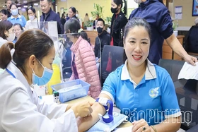 Hỗ trợ phụ nữ phát triển toàn diện