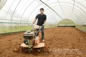 Nông trại xanh từ quyết định ngược dòng