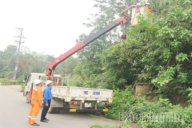 Ra quân giải phóng hành lang an toàn lưới điện phục vụ Giỗ Tổ Hùng Vương