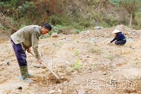 Trồng rừng&nbsp;hướng tới phát triển bền vững