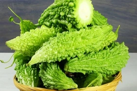 4 lợi ích của vị đắng trong thực phẩm