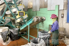 Quý I/2026: Xuất khẩu nông sản đạt trên 347 tỷ đồng