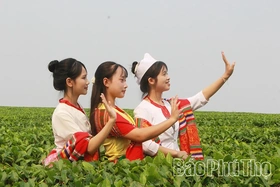 Mở lối cho kinh tế xanh vùng trung du