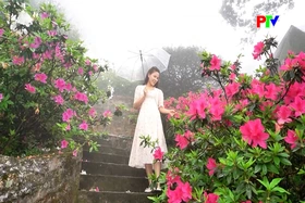 A garden above the clouds