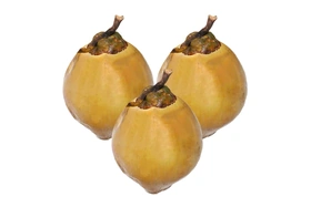 Giá cả thị trường ngày 11/4/2026