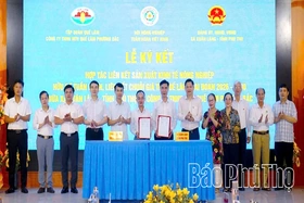 Ký kết hợp tác liên kết phát triển nông nghiệp hữu cơ, tuần hoàn