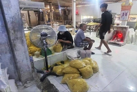 Lò sản xuất 2.800 tấn mì tươi “ngậm” hàn the, thủy tinh lỏng ở TP HCM